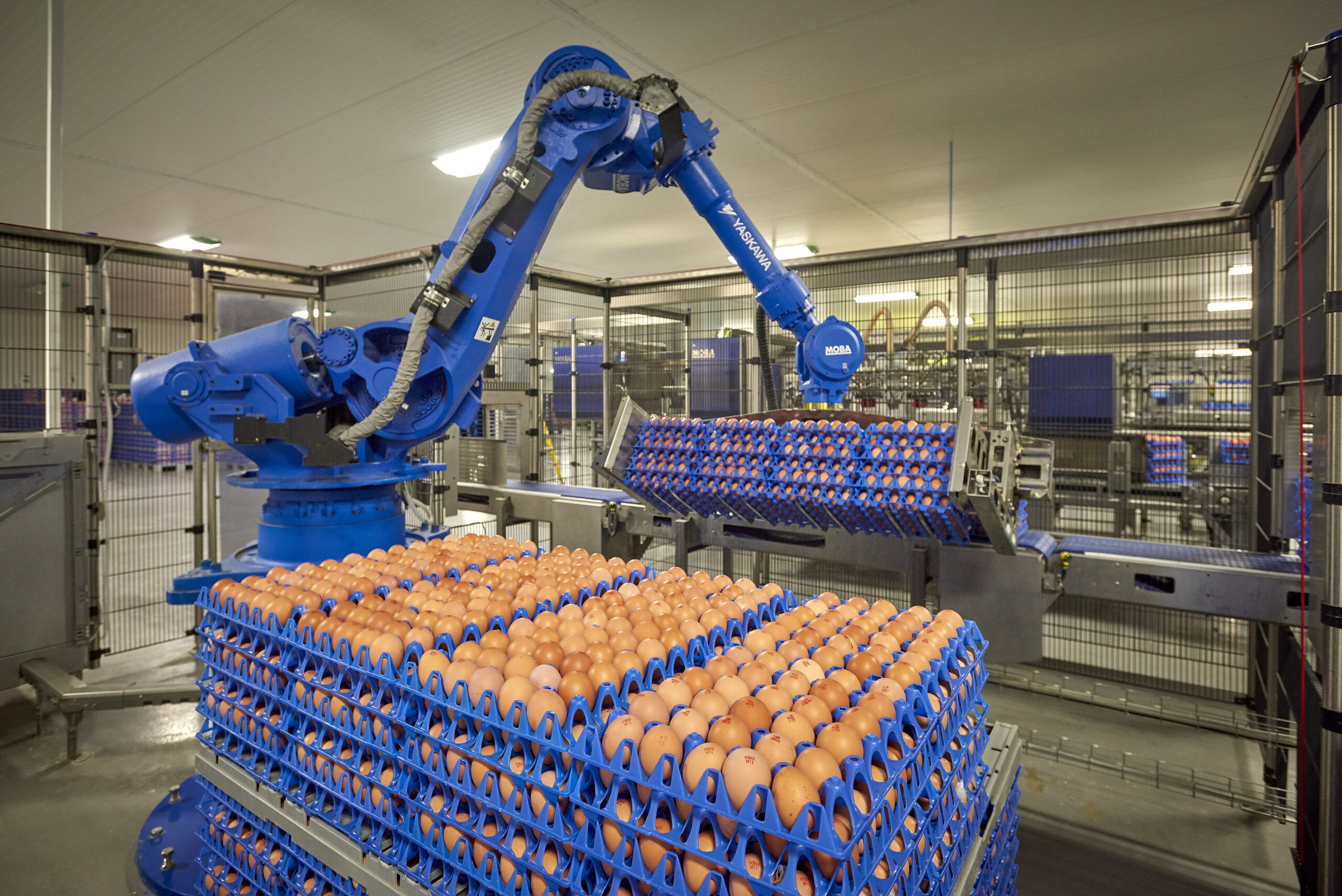 Customer Journey of Bird Bros LTD.