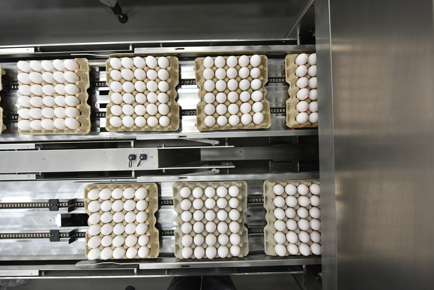 The Journey of General Poultry Company