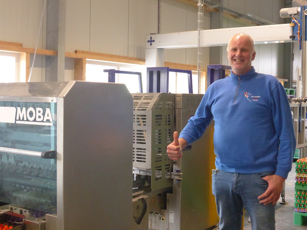 Maassen Pluimvee Homoet：新鲜美味鸡蛋供应商