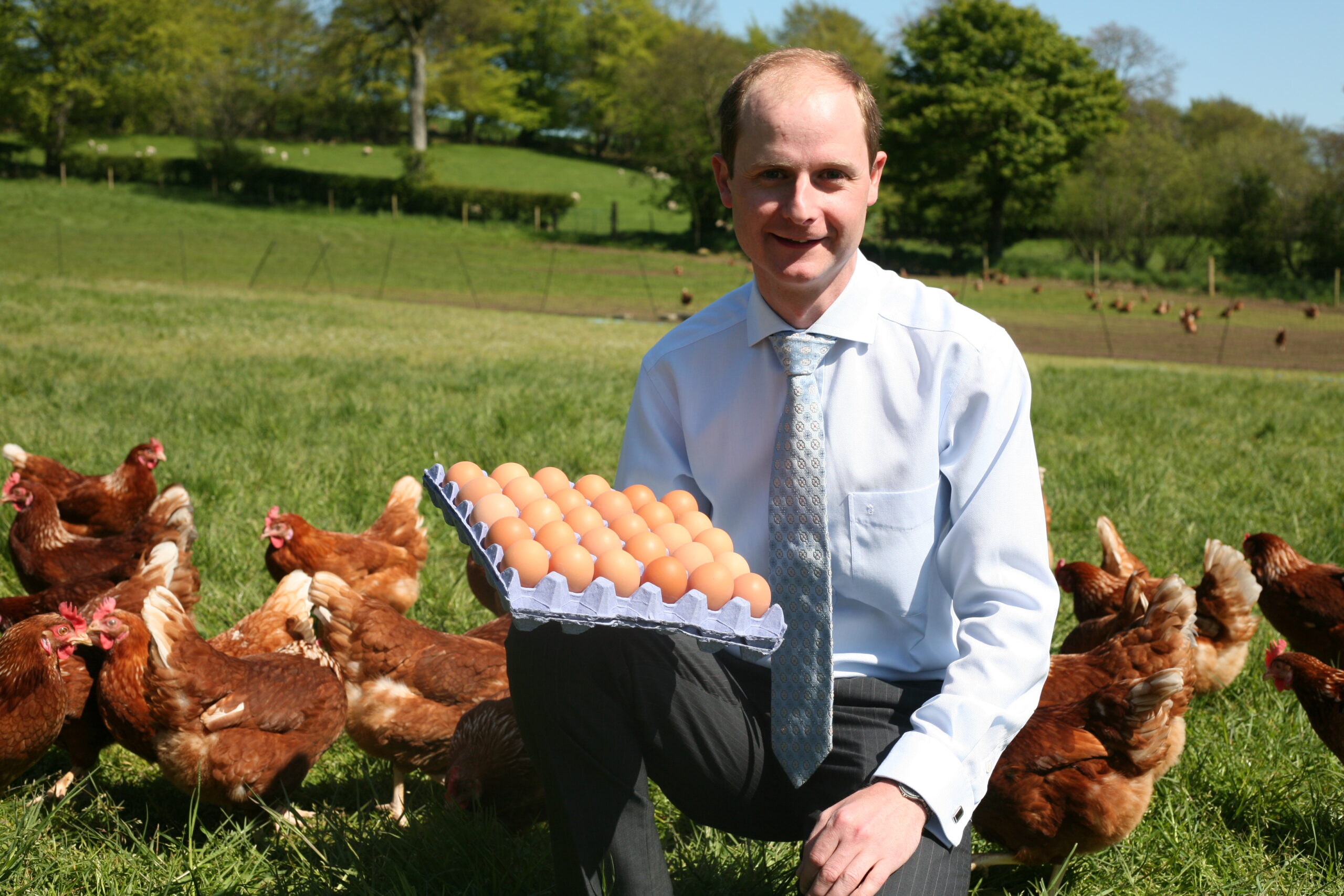 Ballygarvey Eggs, Long-Time Moba Customer