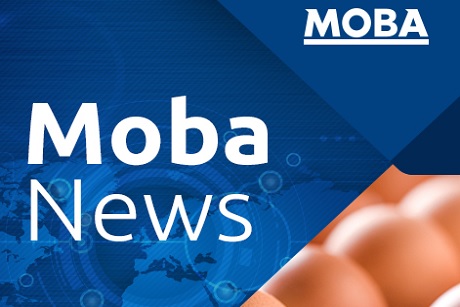 Extra, extra, léelo todo