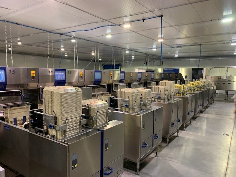 Szijarto - сильный игрок на венгерском рынке яиц